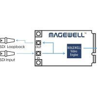 Magewell Pro Capture Mini SDI